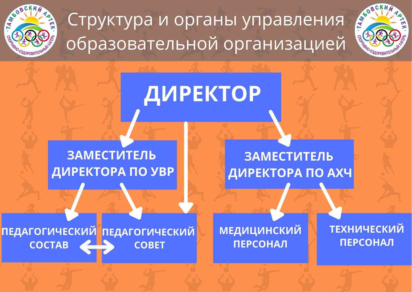 Структура и органы управления образовательной организацией